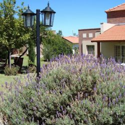 Cabañas Horus (Hoteles en Merlo San Luis)