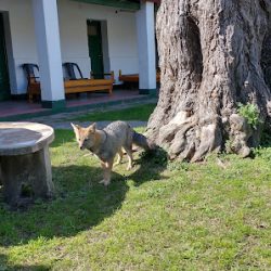 Hotel Colonial (Hoteles en Merlo San Luis)