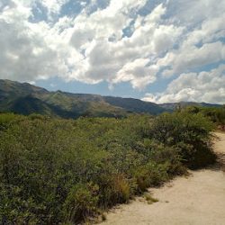 Mirador Del Peñón Colorado (Trekking en Merlo San Luis)