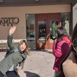 Regionales El Halcón